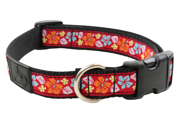 Dog Clip Collar - Maui Wowie Red