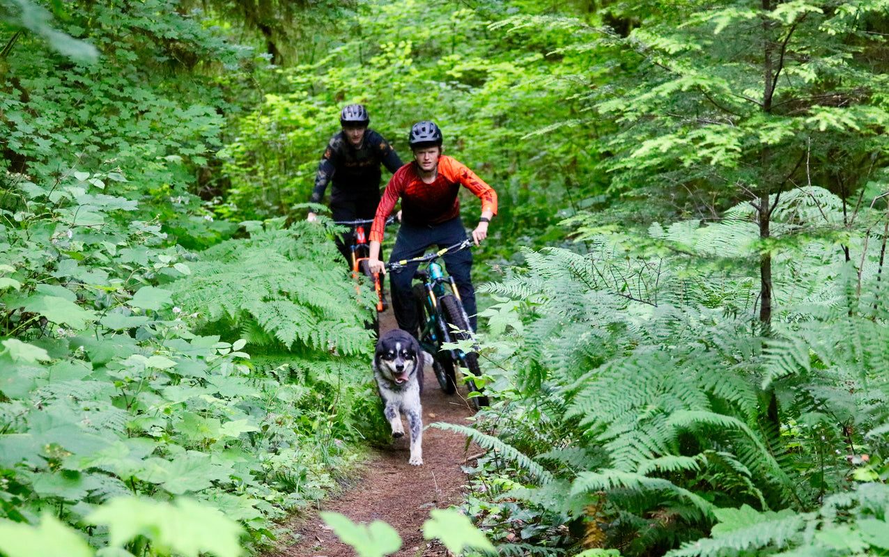 Shop outdoor safety collars