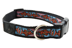 Dog Clip Collar - Chinook Blue Orange