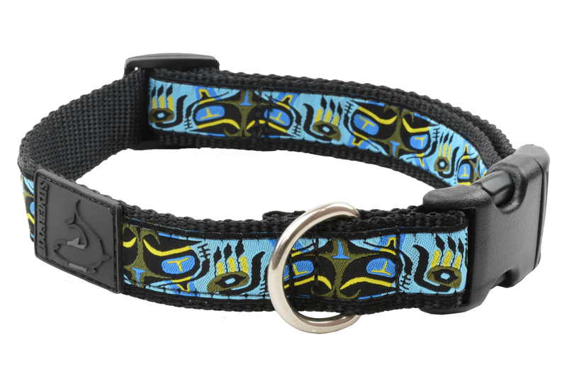 Dog Clip Collar - Pacific Otter Blue