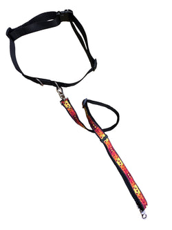 Walking Belt and Leash Set