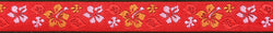 IMPROVED Double Leash 3/4"