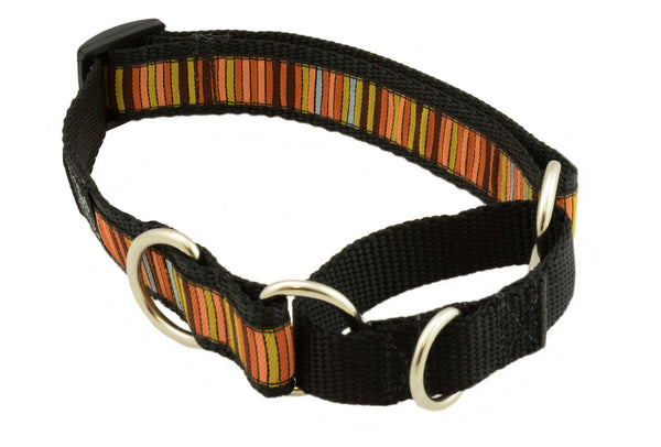 webbing restraint, material training, material martingale, stainless d-ring, 1" wide, nylon webbing, unique patterns, brilliant designs, training collars, martingale collar, bright patterns, Canadian made, first nation inspired patterns